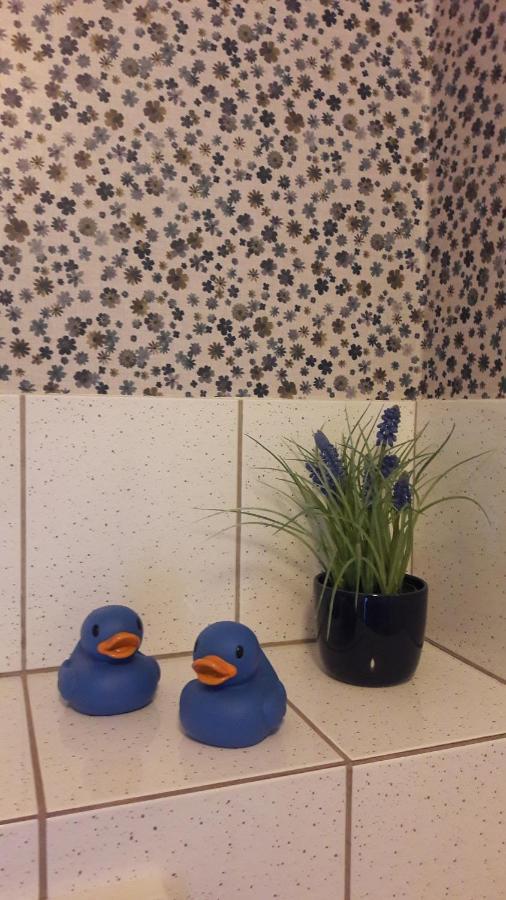 Bed & Breakfast “ Gastvrij Onthaal “ Een-West Dış mekan fotoğraf